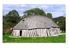 Viking huis