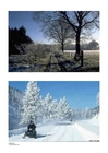 foto Winter 1