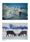 foto Winter 3