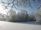 Foto winter