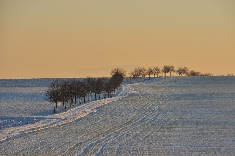 Foto winterlandschap