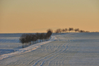 Foto winterlandschap