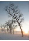 Foto winterlandschap