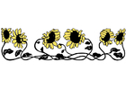 Afbeelding zonnebloemen 