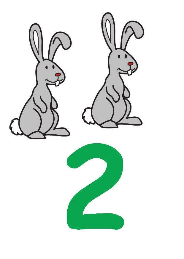 2 Afbeelding 2