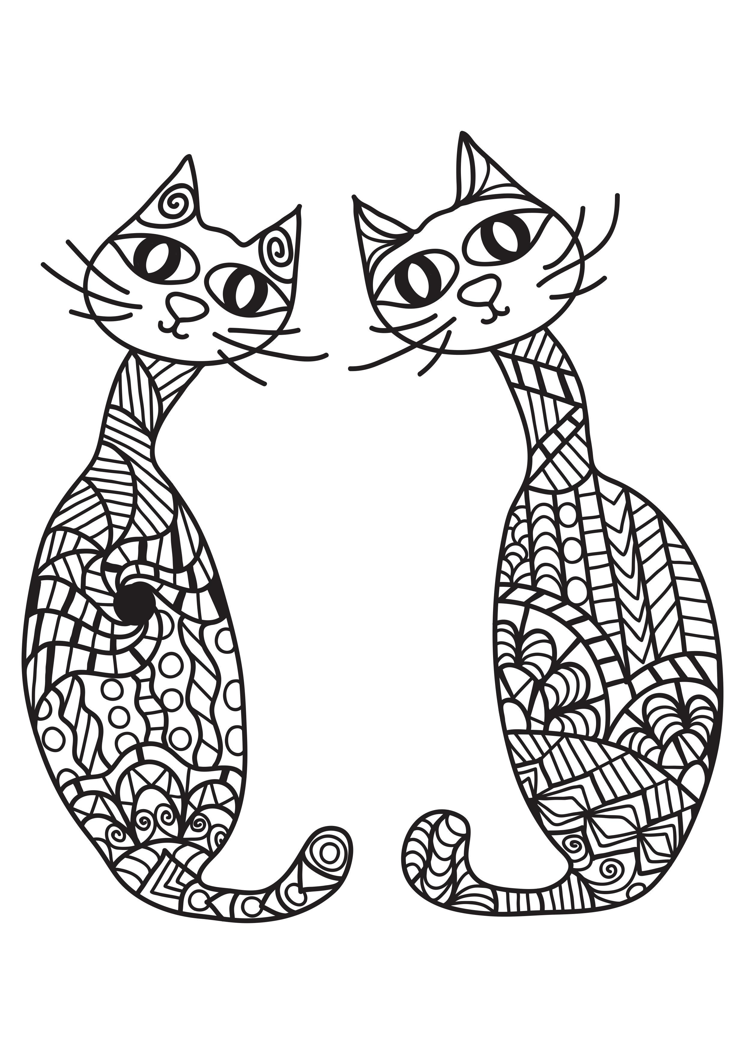 2 katten Kleurplaat 2 katten