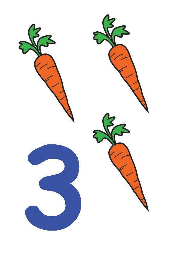 3 Afbeelding 3