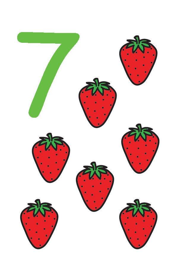 7 Afbeelding 7