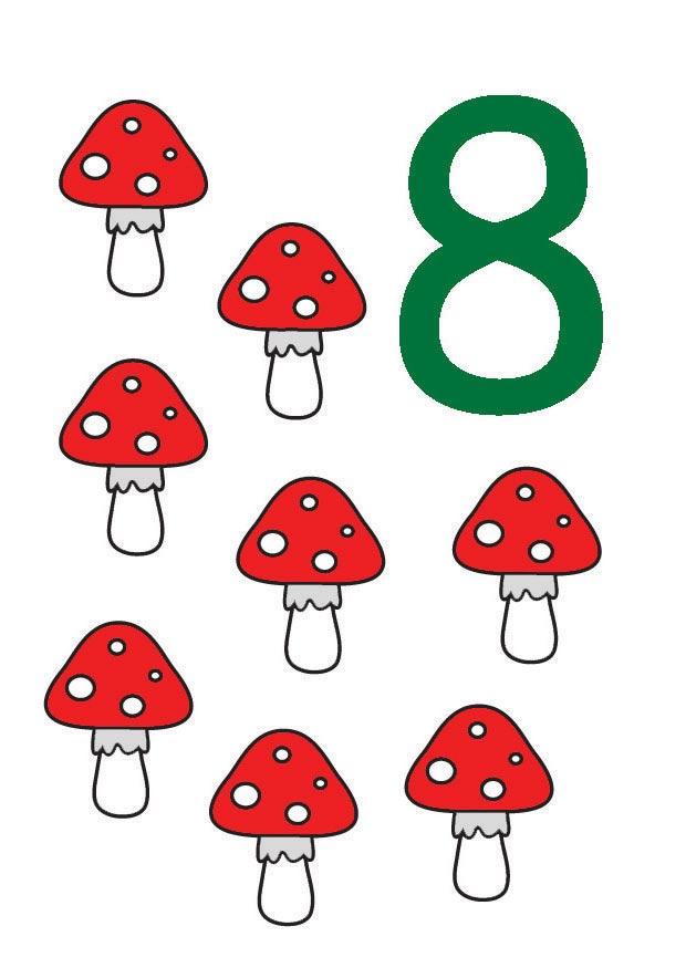 8 Afbeelding 8