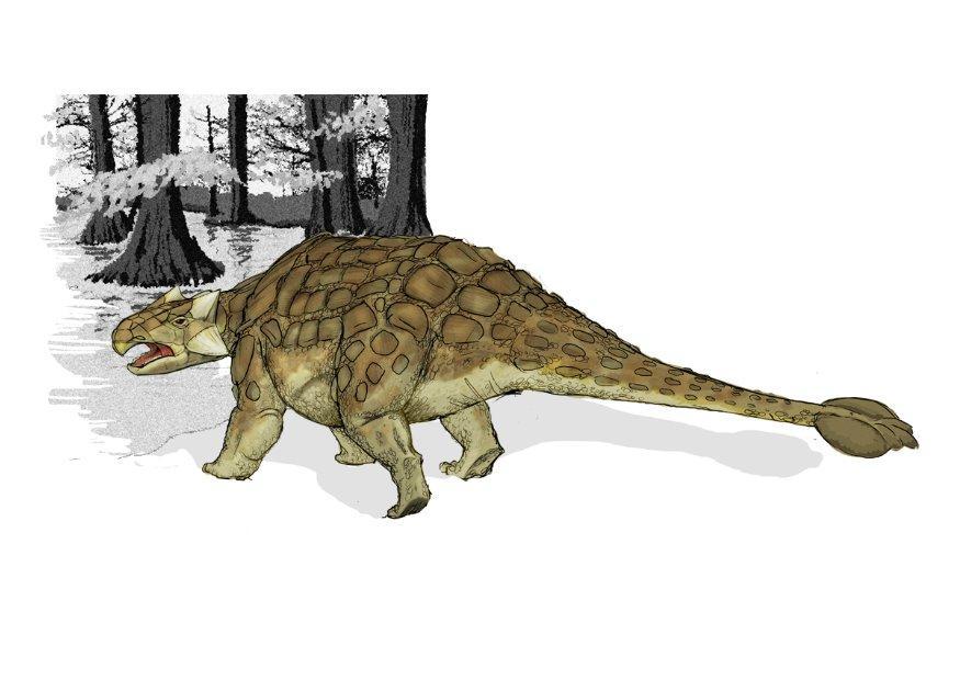 ankylosaurus Afbeelding ankylosaurus