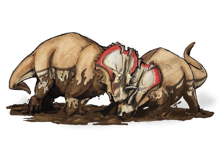 centrosaurus Afbeelding centrosaurus