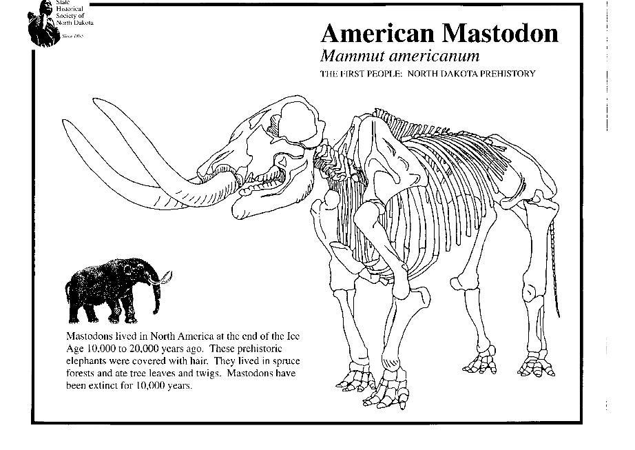 Kleurplaat mastodon