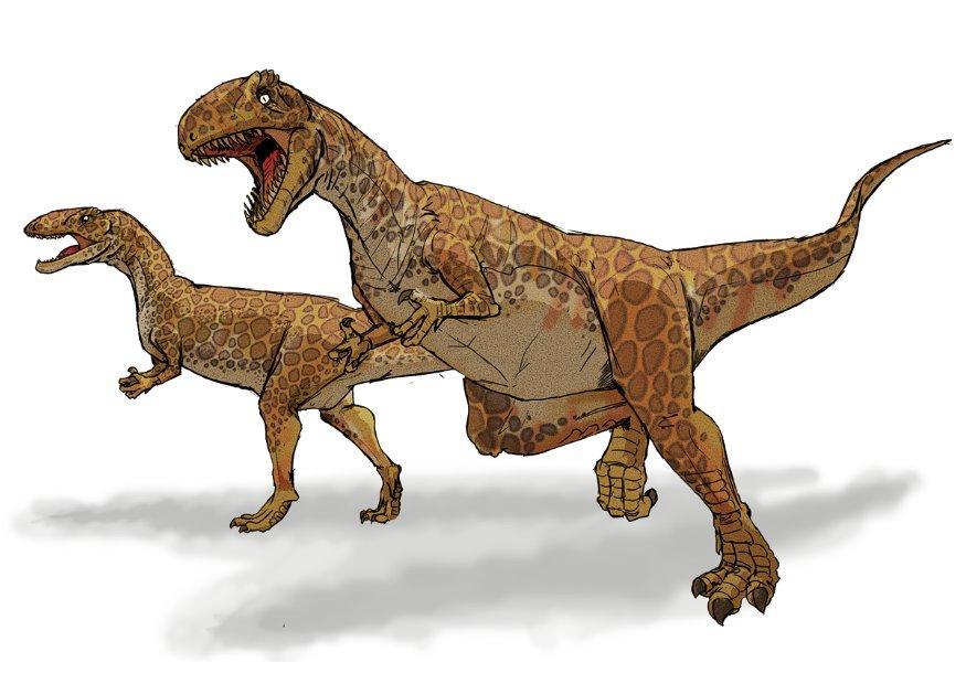 megalosaurus Afbeelding megalosaurus