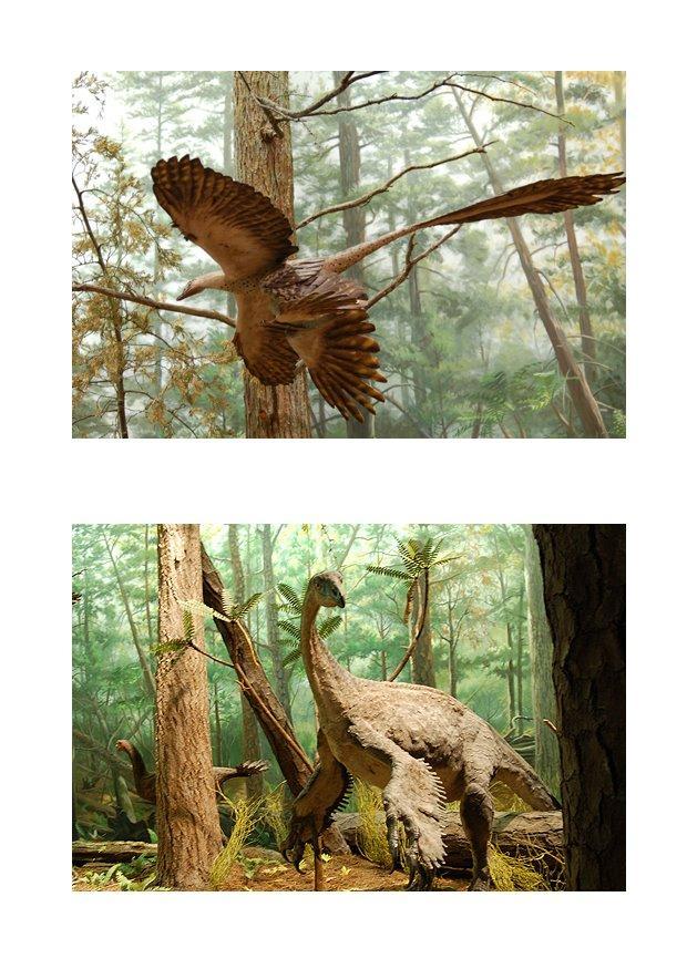 gevederde dinosaurussen Afbeelding gevederde dinosaurussen