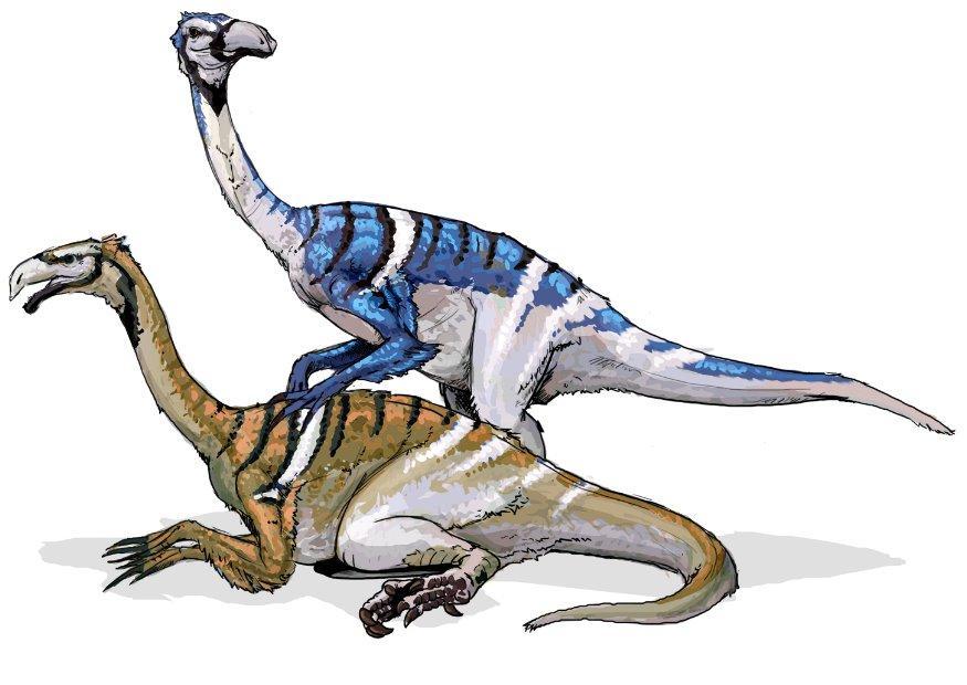 nanshiungosaurus dinosaurus Afbeelding nanshiungosaurus dinosaurus