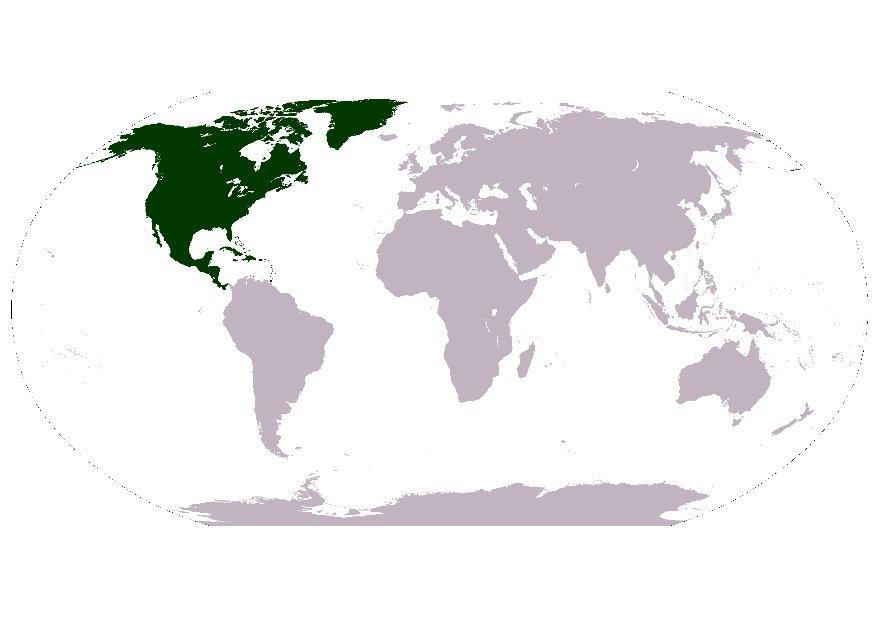 Afbeelding noord amerika