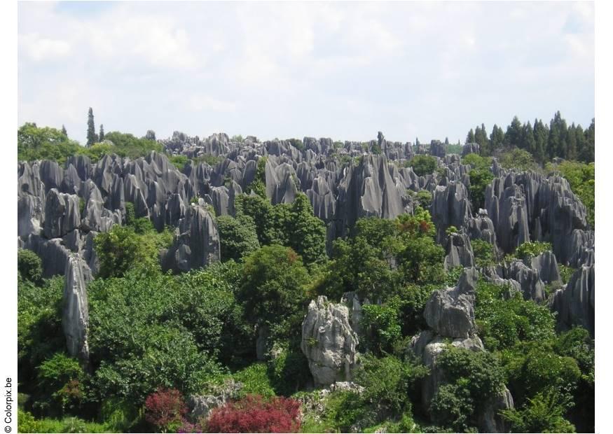stenen woud kunming Foto stenen woud kunming