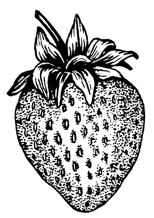 aardbei Kleurplaat aardbei