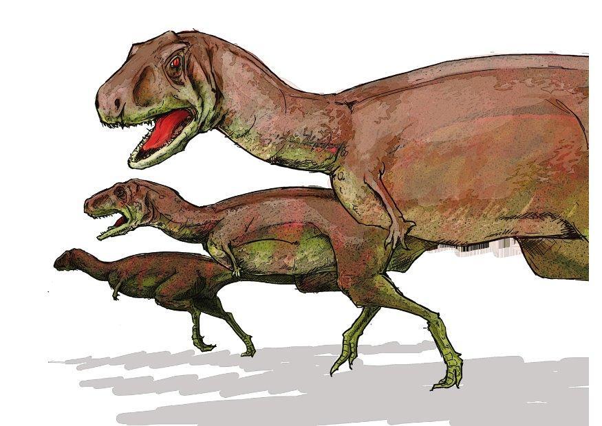 Afbeelding aucasaurus