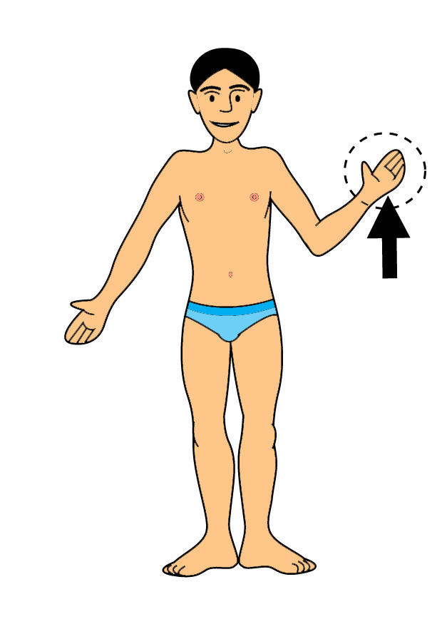 Afbeelding hand