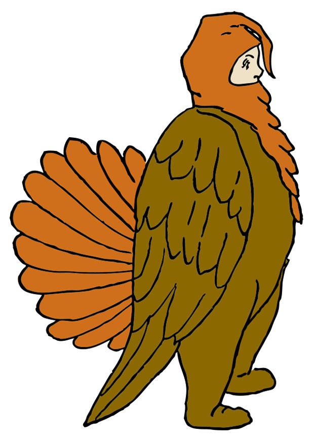 Afbeelding kalkoen kostuum
