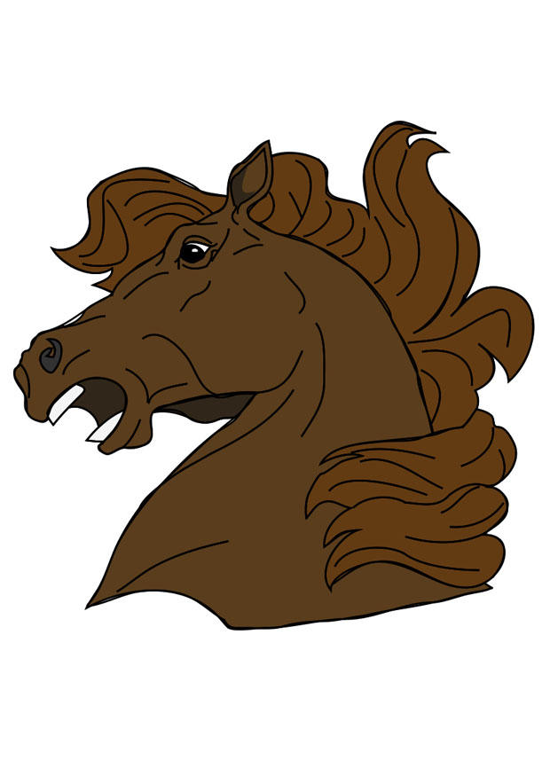 Afbeelding paardenkop 
