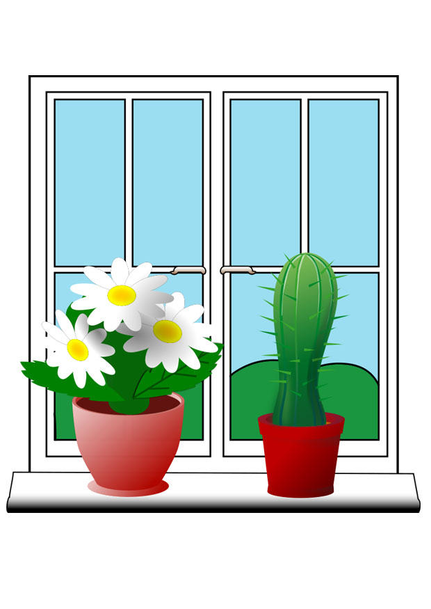 Afbeelding planten 
