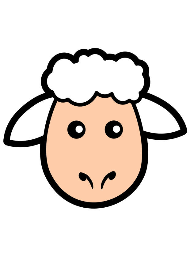 Afbeelding schaap