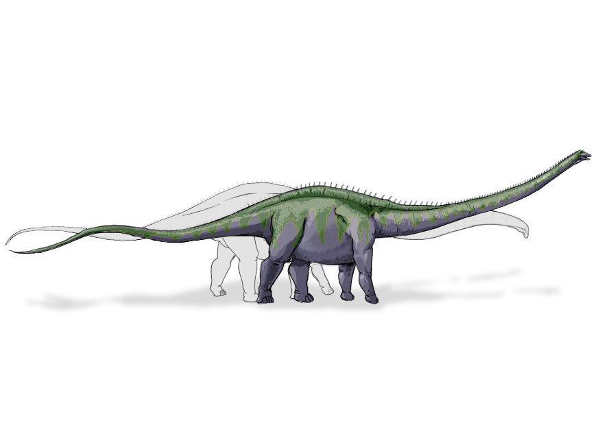 Afbeelding supersaurus dinosaurus