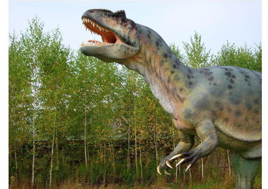 allosaurus replica Foto allosaurus replica