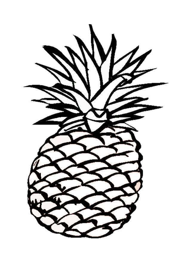 ananas Kleurplaat ananas