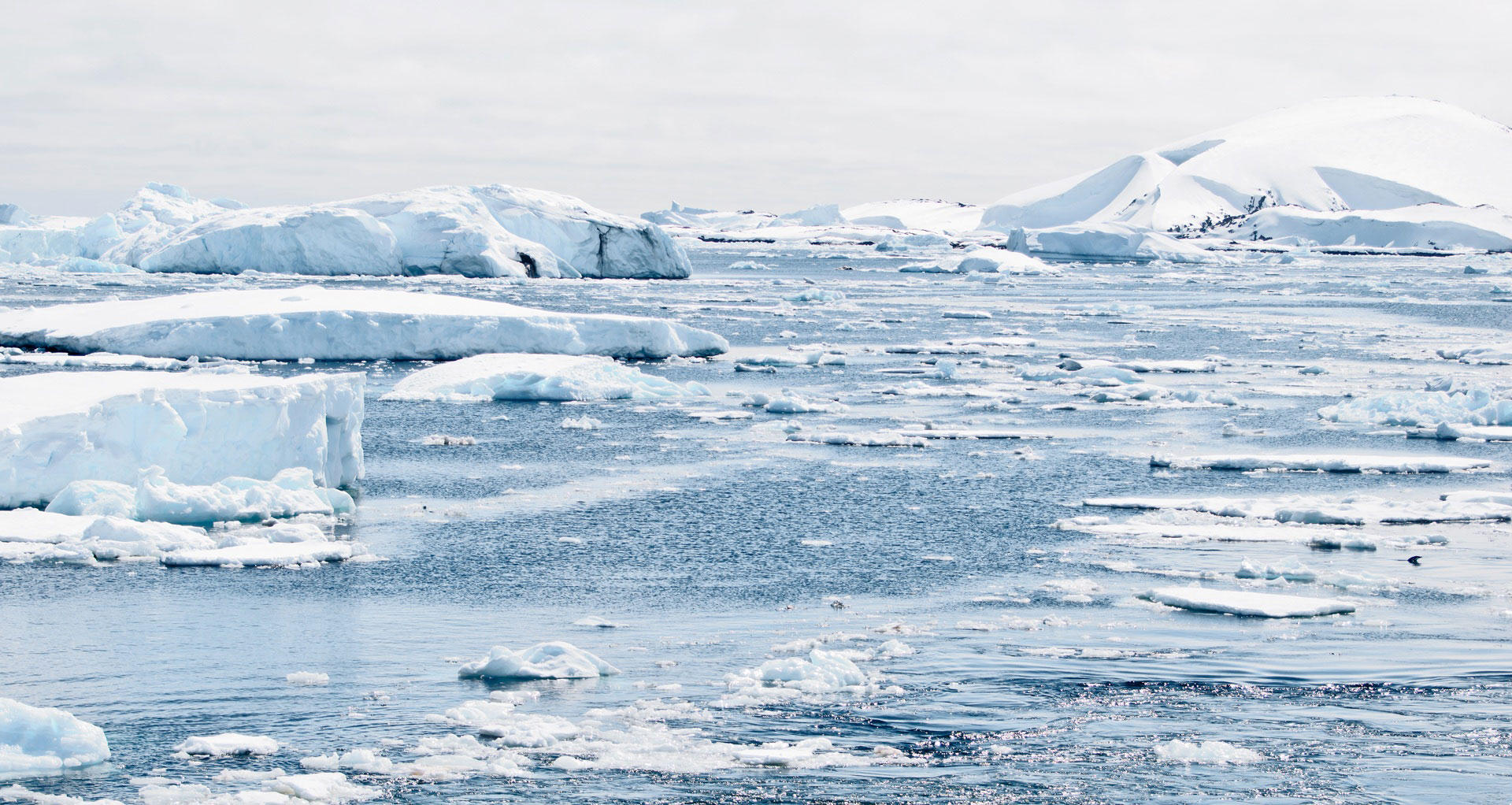antarctica Foto antarctica