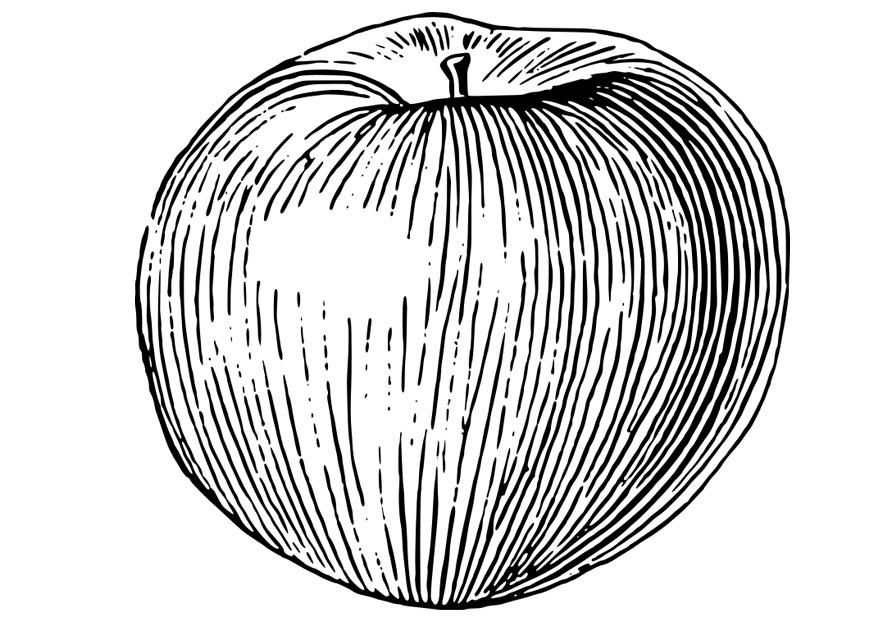 appel Kleurplaat appel