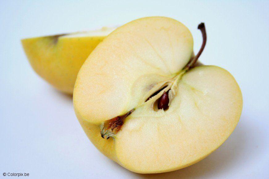appel Foto appel