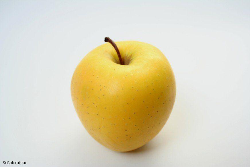 appel Foto appel
