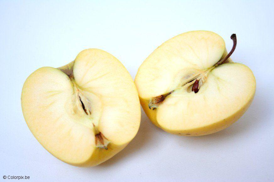 appels Foto appels