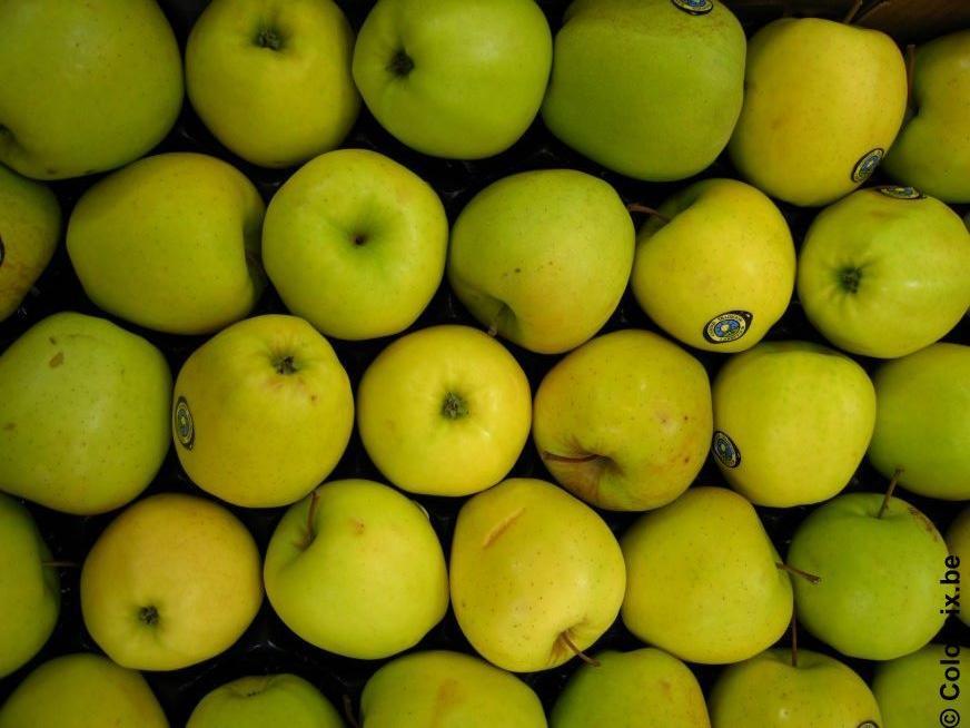 appels Foto appels