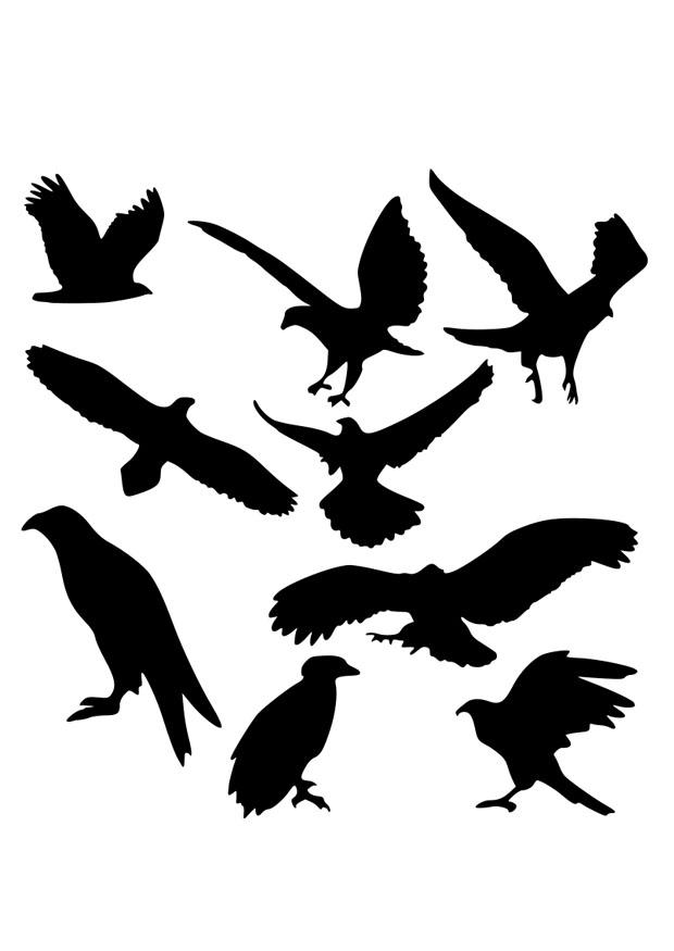 arend silhouetten Kleurplaat arend silhouetten