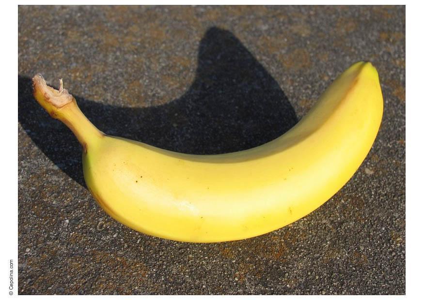 banaan Foto banaan