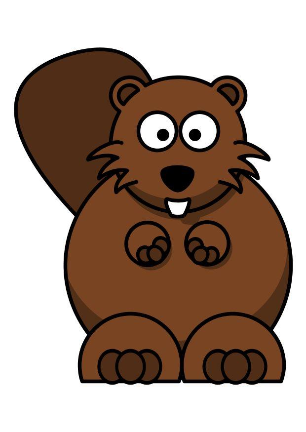 z1-bever Afbeelding z1-bever