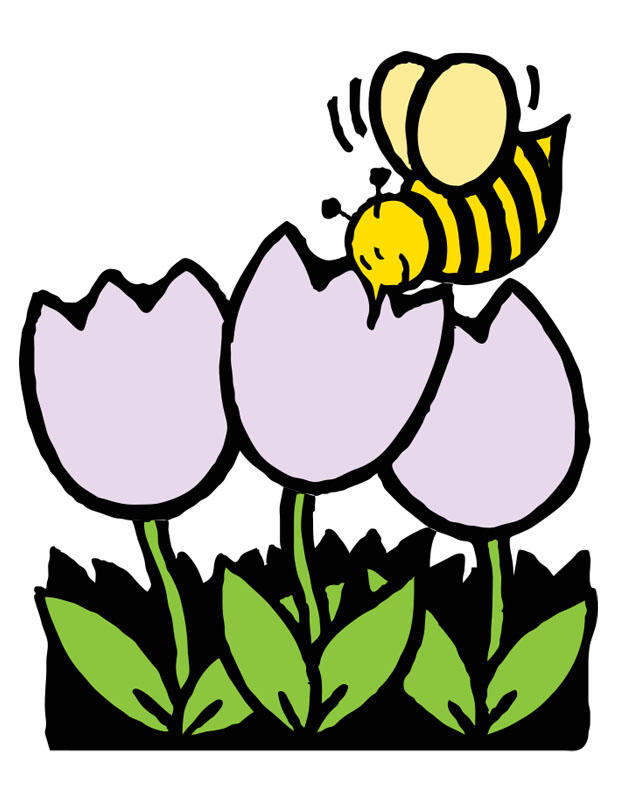 bij en tulpen Afbeelding bij en tulpen