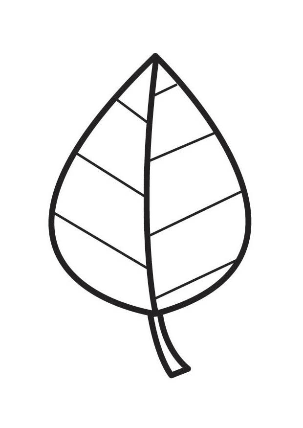 blad Kleurplaat blad