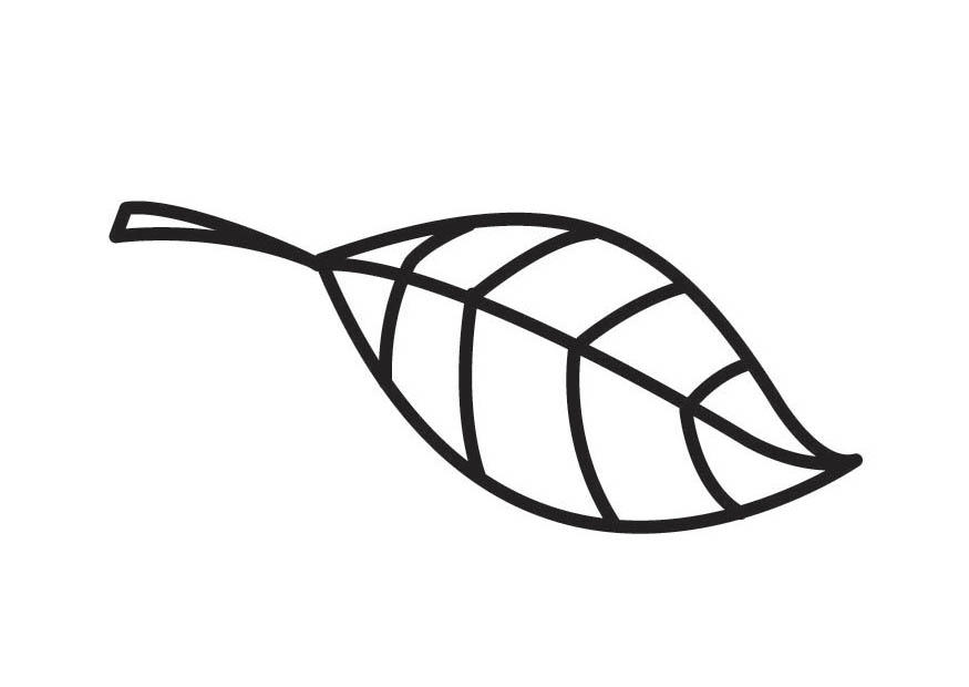 blad Kleurplaat blad