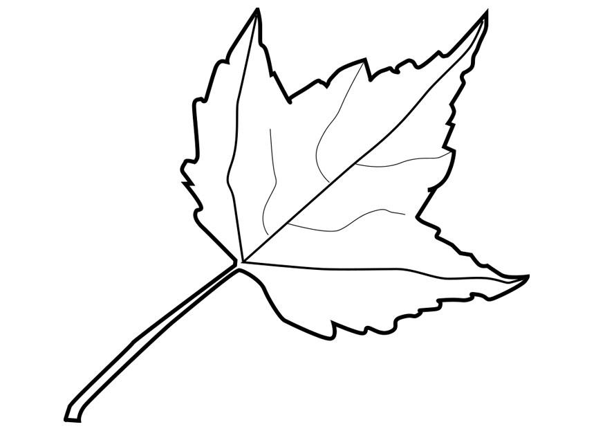 blad Kleurplaat blad
