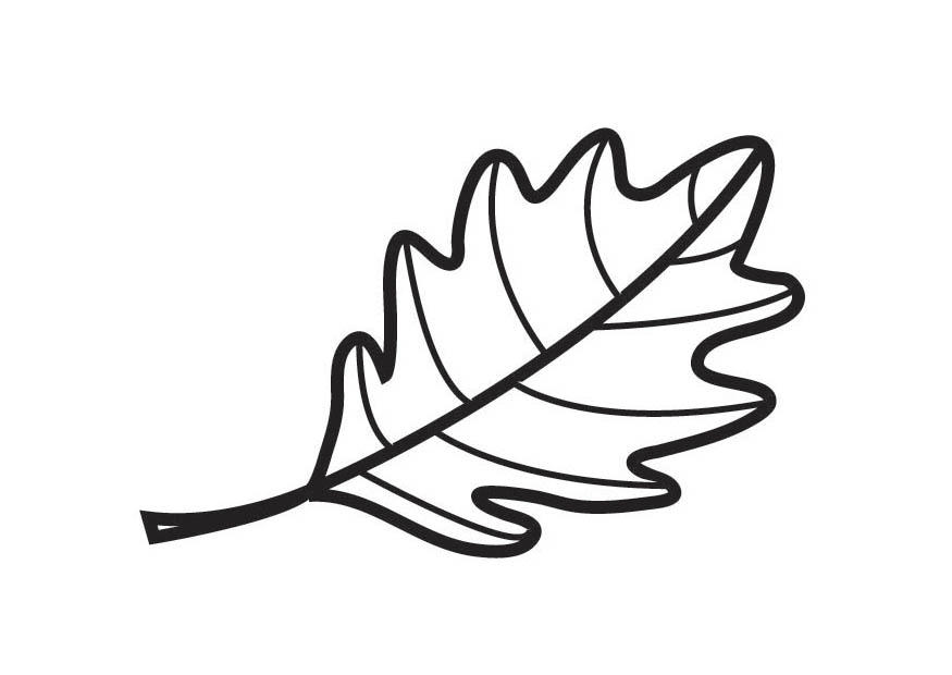 blad eik Kleurplaat blad eik