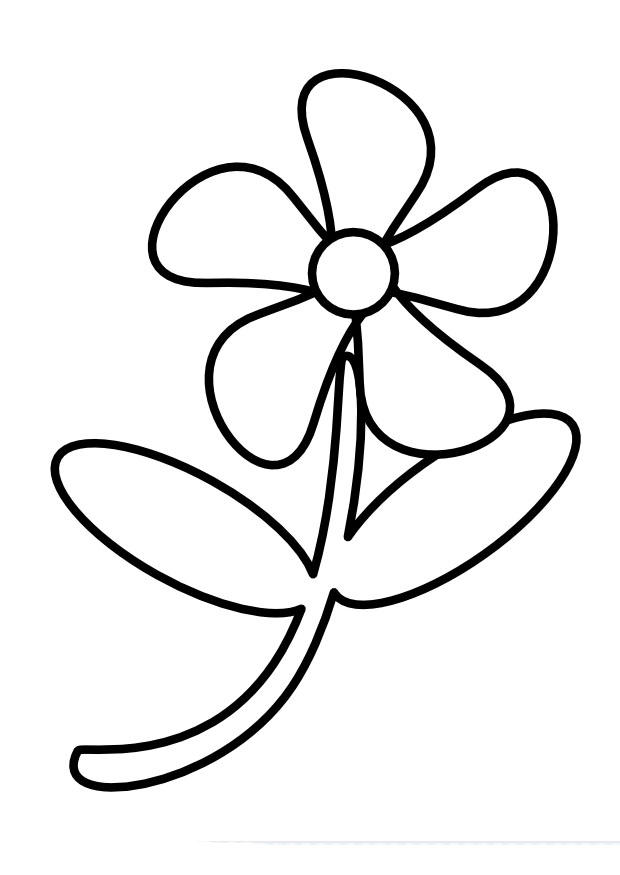bloem Kleurplaat bloem