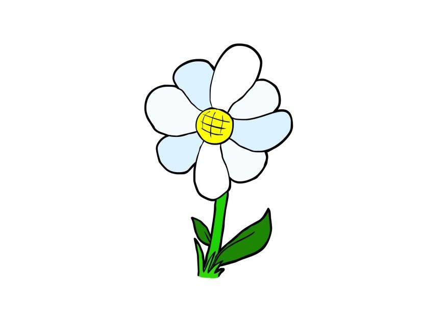 bloem Afbeelding bloem
