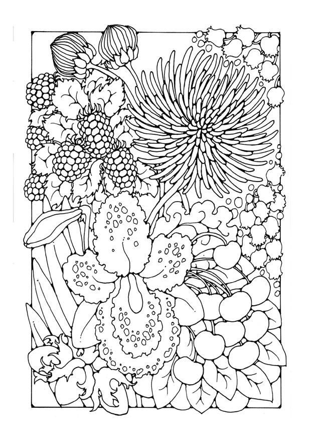 bloemen Kleurplaat bloemen