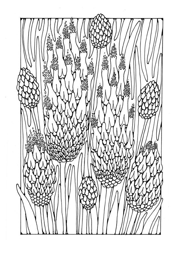 bloemen Kleurplaat bloemen
