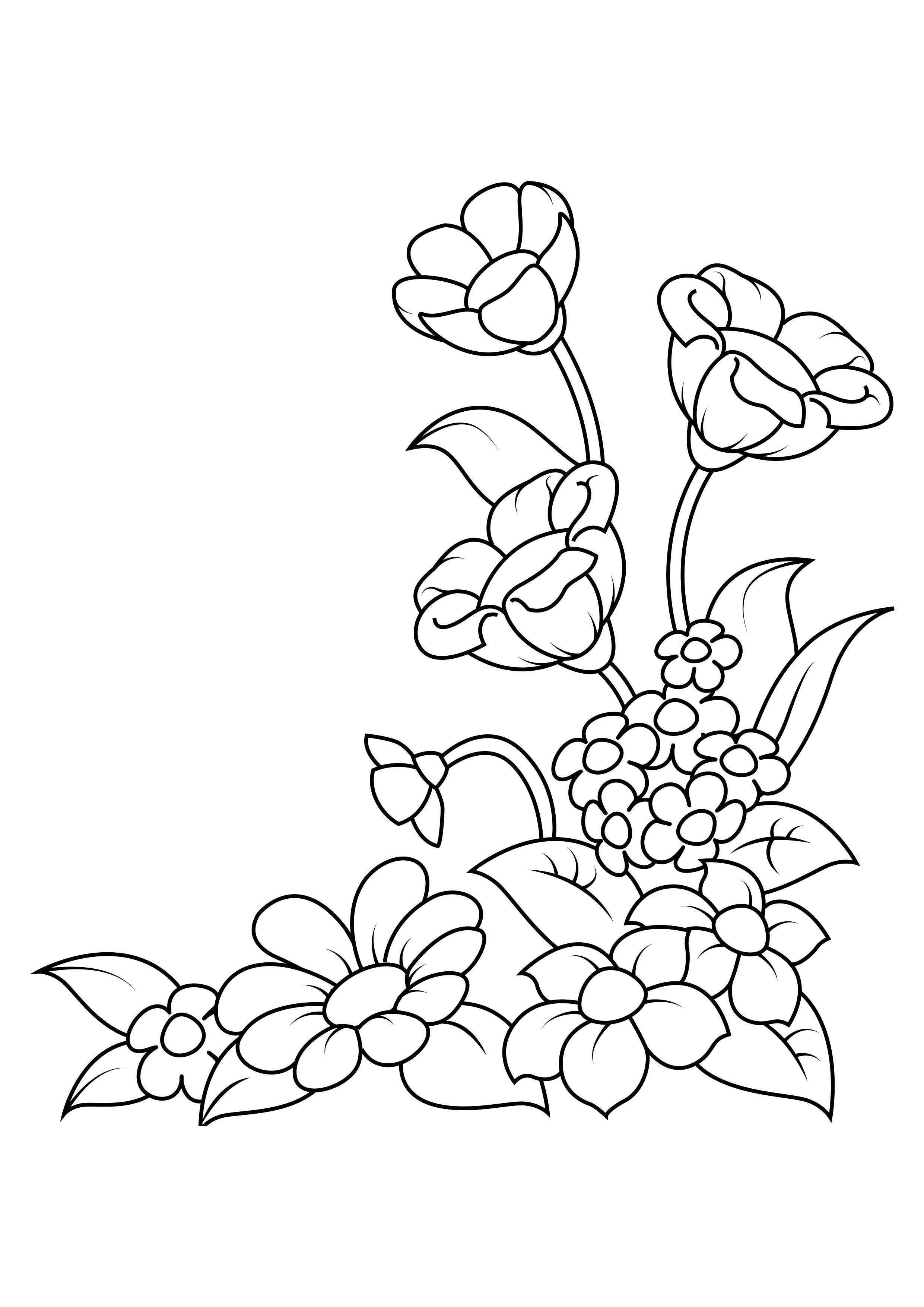 bloemen Kleurplaat bloemen